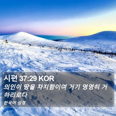 시편 37:29 KOR Bible Verse Image
