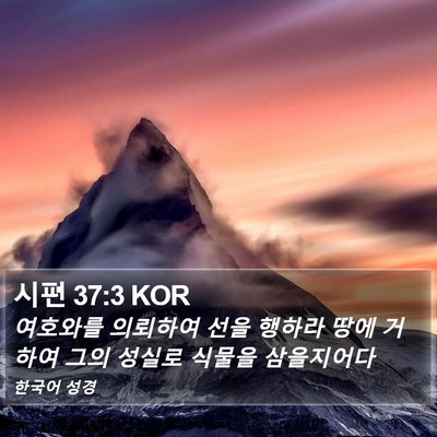 시편 37:3 KOR Bible Verse Image