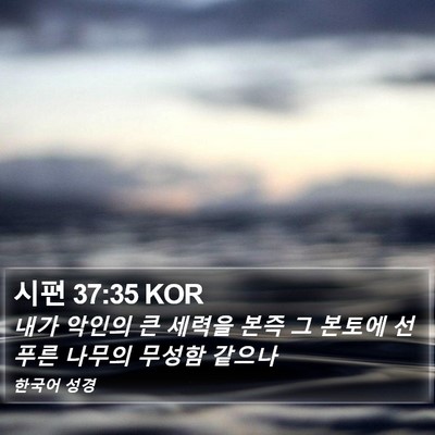 시편 37:35 KOR Bible Verse Image