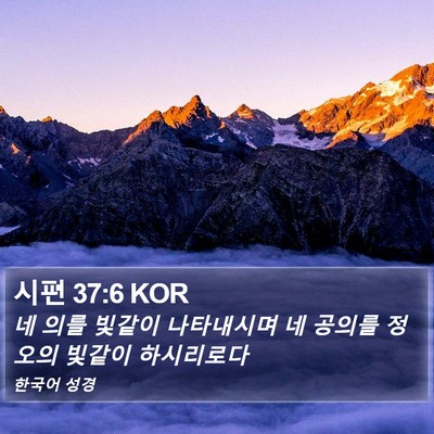 시편 37:6 KOR Bible Verse Image