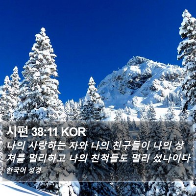 시편 38:11 KOR Bible Verse Image