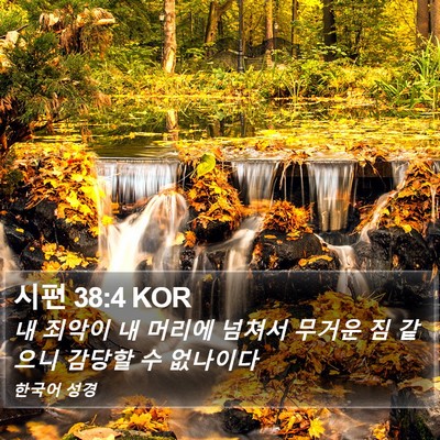 시편 38:4 KOR Bible Verse Image