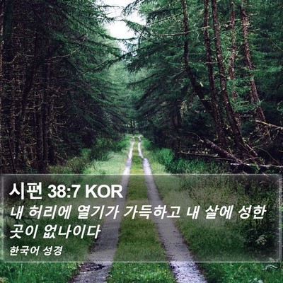 시편 38:7 KOR Bible Verse Image