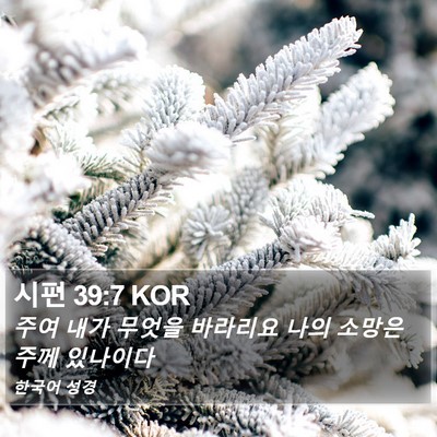 시편 39:7 KOR Bible Verse Image