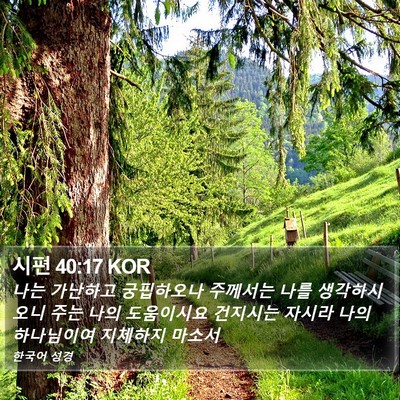 시편 40:17 KOR Bible Verse Image