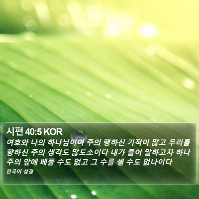 시편 40:5 KOR Bible Verse Image