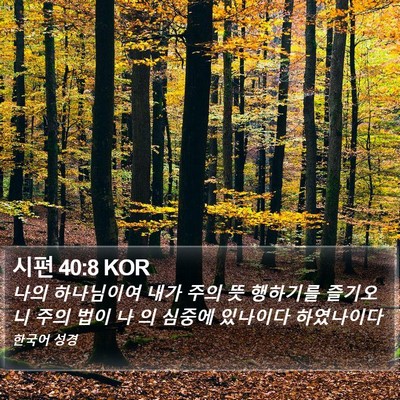 시편 40:8 KOR Bible Verse Image