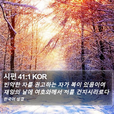 시편 41:1 KOR Bible Verse Image