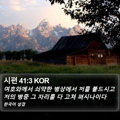 시편 41:3 KOR Bible Verse Image