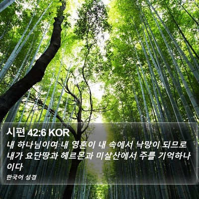 시편 42:6 KOR Bible Verse Image