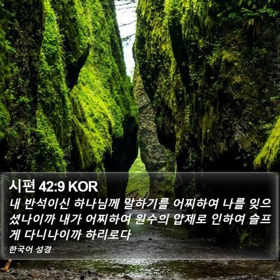 시편 42:9 KOR Bible Verse Image