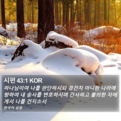 시편 43:1 KOR Bible Verse Image