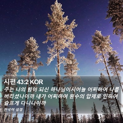 시편 43:2 KOR Bible Verse Image