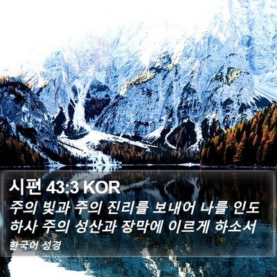 시편 43:3 KOR Bible Verse Image