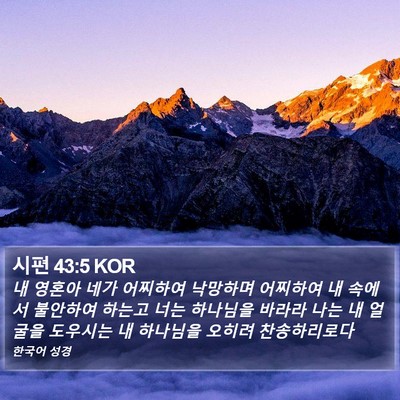 시편 43:5 KOR Bible Verse Image