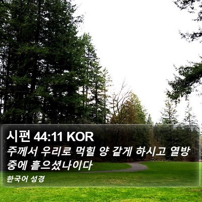 시편 44:11 KOR Bible Verse Image