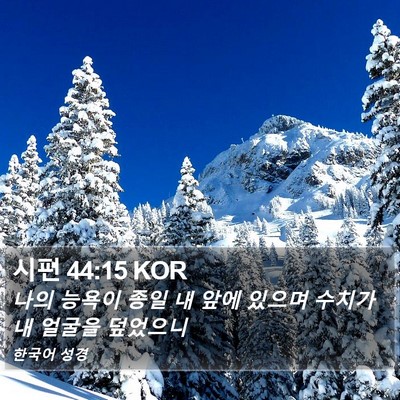 시편 44:15 KOR Bible Verse Image