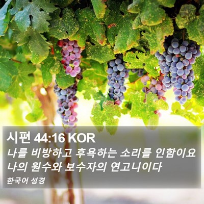 시편 44:16 KOR Bible Verse Image
