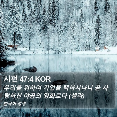 시편 47:4 KOR Bible Verse Image