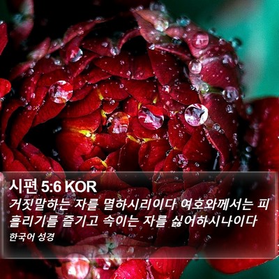 시편 5:6 KOR Bible Verse Image