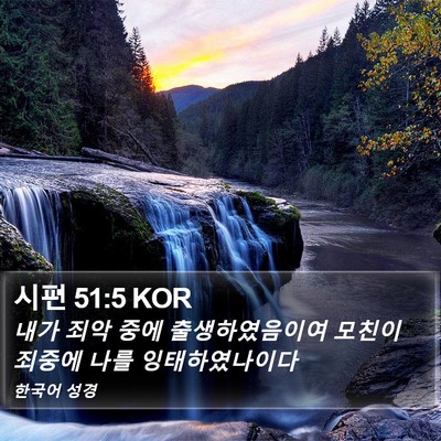 시편 51:5 KOR Bible Verse Image