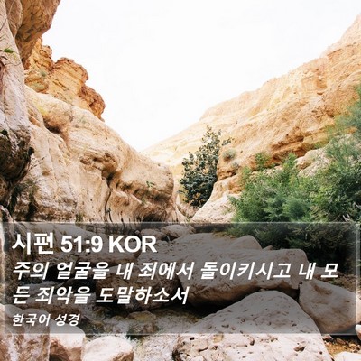 시편 51:9 KOR Bible Verse Image