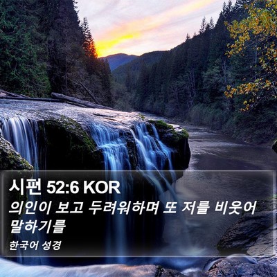 시편 52:6 KOR Bible Verse Image