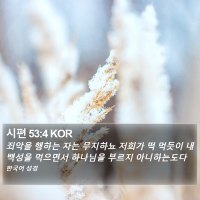시편 53:4 KOR Bible Verse Image