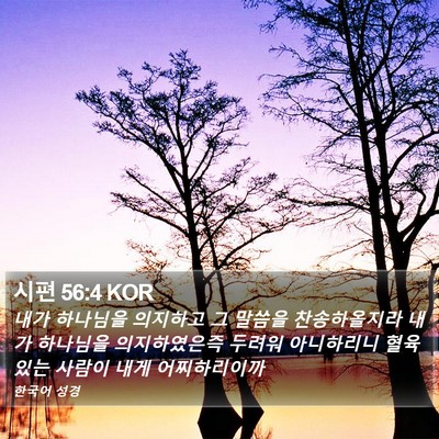 시편 56:4 KOR Bible Verse Image