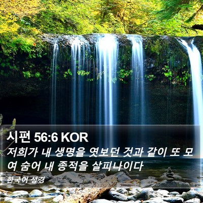 시편 56:6 KOR Bible Verse Image