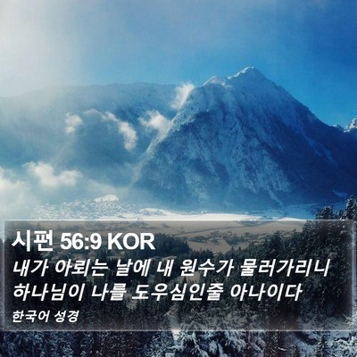시편 56:9 KOR Bible Verse Image
