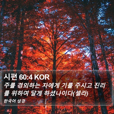 시편 60:4 KOR Bible Verse Image