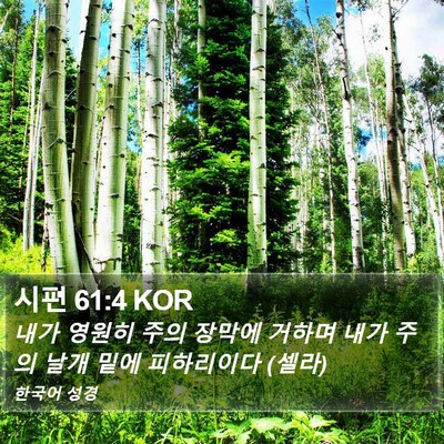 시편 61:4 KOR Bible Verse Image