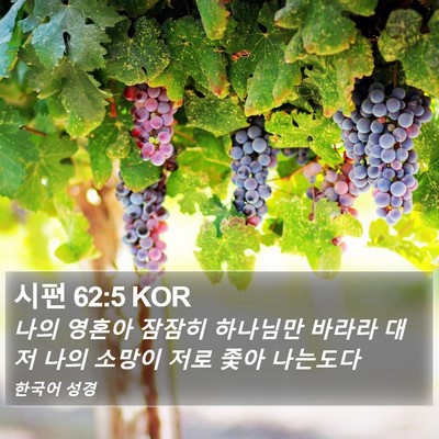시편 62:5 KOR Bible Verse Image