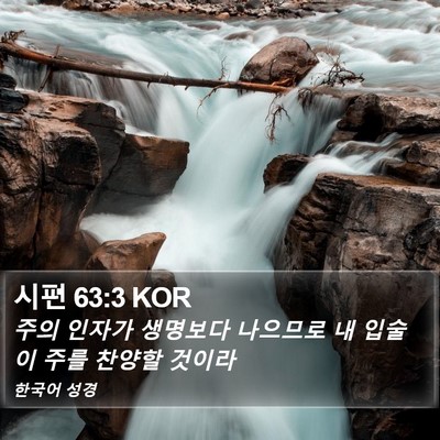 시편 63:3 KOR Bible Verse Image