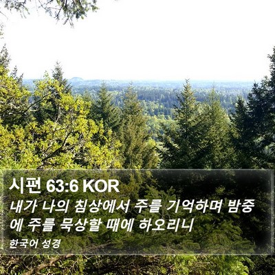 시편 63:6 KOR Bible Verse Image