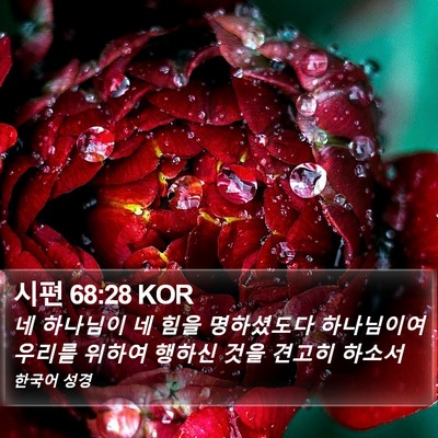 시편 68:28 KOR Bible Verse Image