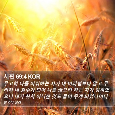 시편 69:4 KOR Bible Verse Image