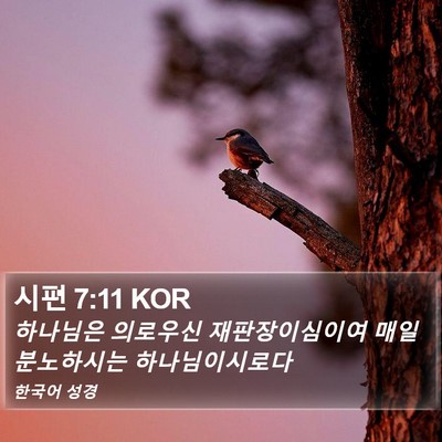 시편 7:11 KOR Bible Verse Image