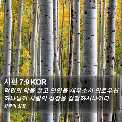 시편 7:9 KOR Bible Verse Image