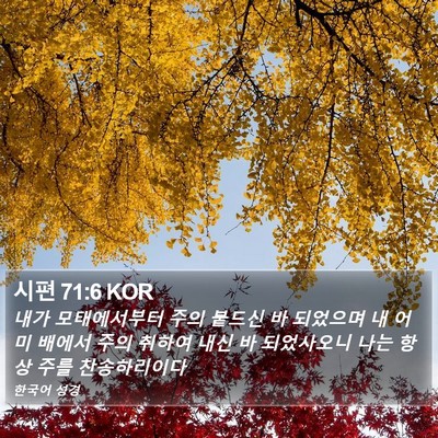 시편 71:6 KOR Bible Verse Image