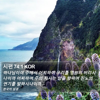 시편 74:1 KOR Bible Verse Image