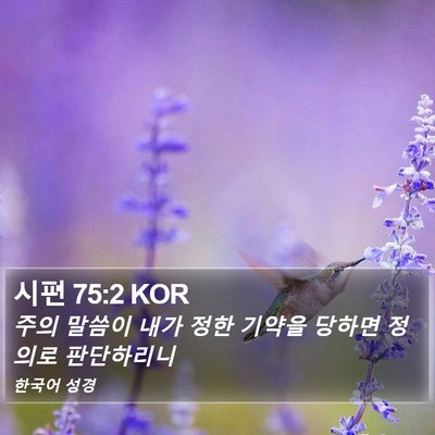 시편 75:2 KOR Bible Verse Image