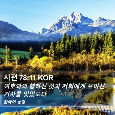 시편 78:11 KOR Bible Verse Image