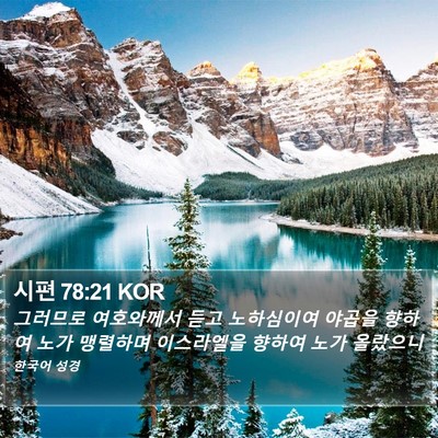 시편 78:21 KOR Bible Verse Image