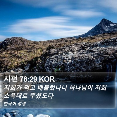 시편 78:29 KOR Bible Verse Image