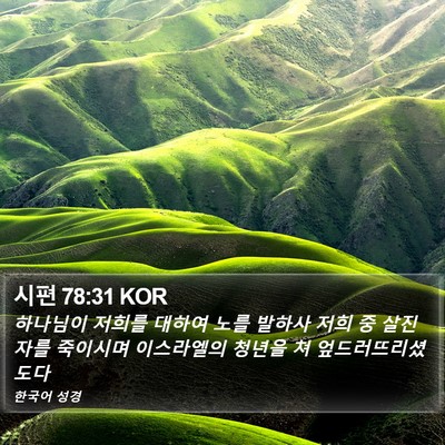시편 78:31 KOR Bible Verse Image