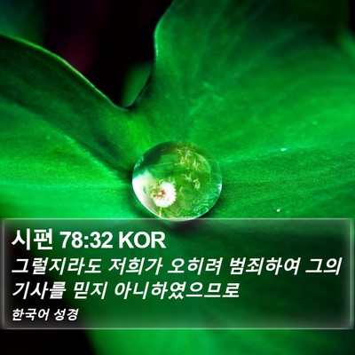 시편 78:32 KOR Bible Verse Image