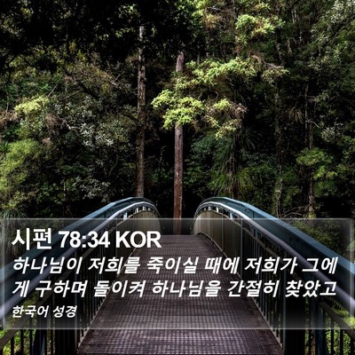 시편 78:34 KOR Bible Verse Image
