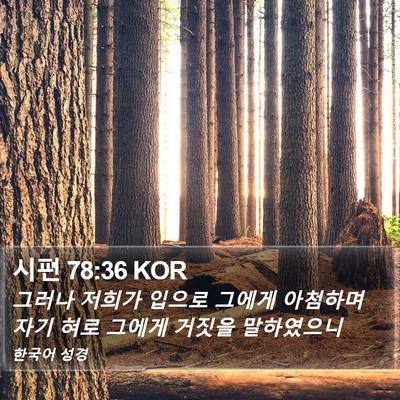 시편 78:36 KOR Bible Verse Image